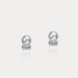 Bowknot．South Sea White Pearl Diamond Earrings