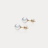 Classique | 5-5.5mm Classic Simple Japanese AKOYA Sea Pearl 18K Earrings
